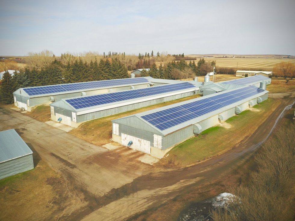 Poultry Farm Calgary Alberta Commercial Solar Project