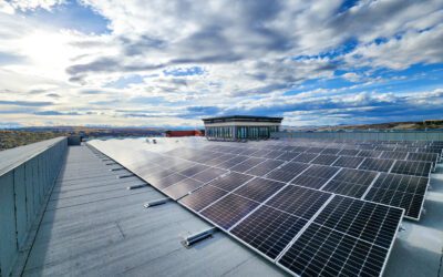 CEIP: Smart Solar Financing for Your Business