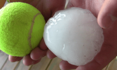 Hail vs. Solar Panels