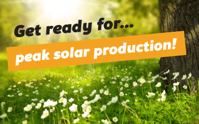 Take Advantage of Peak Solar Production in Spring & Summer