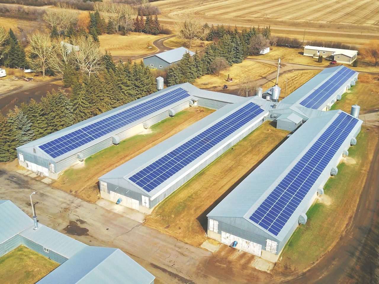 Poultry Farm - Calgary, Alberta | Commercial Solar Project