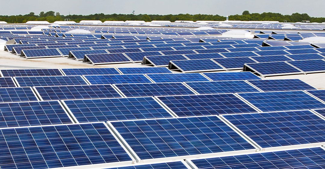 Hermann Scheer – Father of the Feed-in-Tariff
